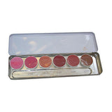 Genuine KRYOLAN Lip Rouge 6/12/24 Color Palettes -  Lipstick Classic Lip Sticks - HappyGreenStore
